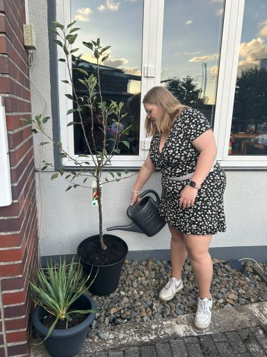 Auch ein Baum hat Durst