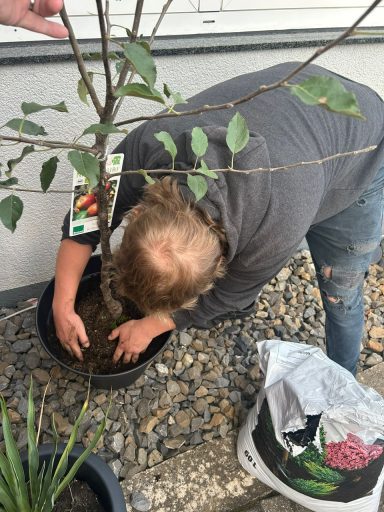 Nächstes Jahr gibt es hoffenlich Äpfel